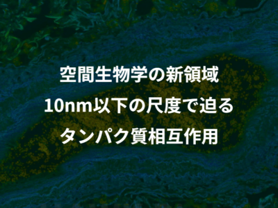 タンパク質の相互作用を空間的かつ定量的に解析することの重要性について記述しています。空間トランスクリプトームで知見が得られ始めている今だからこそ、重要なのです。